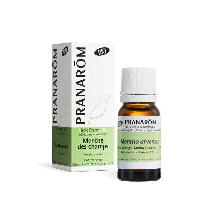 Huile essentielle Menthe des champs bio Pranar&ocirc;m - flacon de 10 ml