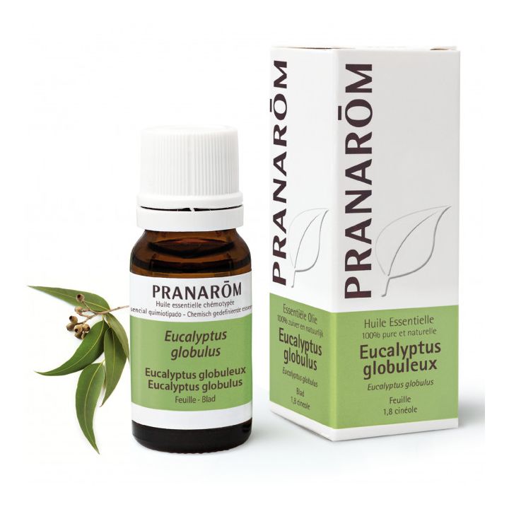 Huile essentielle d'Eucalyptus globuleux Pranar&ocirc;m - flacon de 10 ml