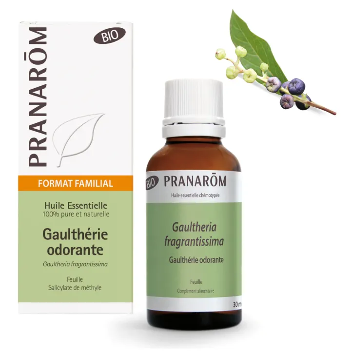 Huile essentielle de Gaulth&eacute;rie odorante bio Pranar&ocirc;m - flacon de 30 ml