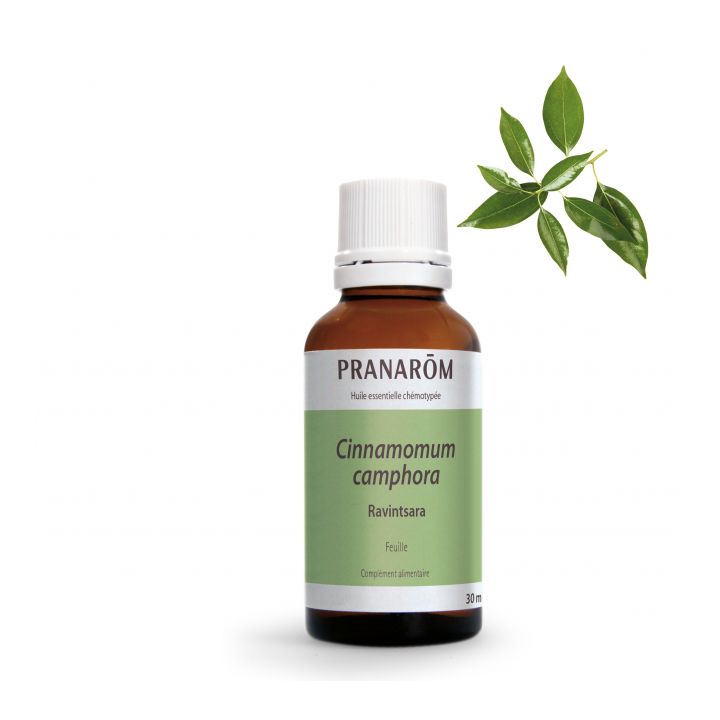 Huile essentielle de Ravintsara Bio Pranar&ocirc;m - flacon de 30 ml