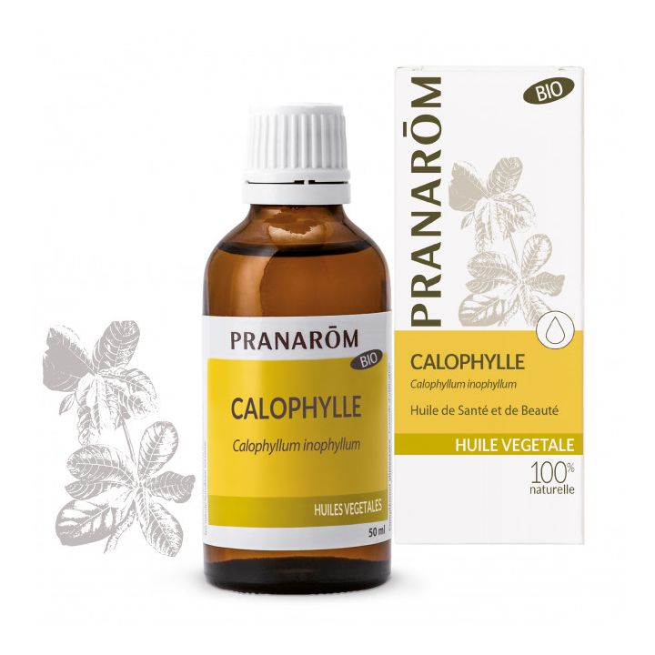 Huile v&eacute;g&eacute;tale Calophylle bio Pranar&ocirc;m - flacon de 50 ml