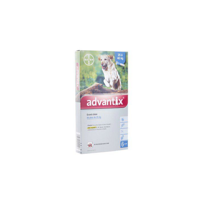 Advantix grand chien de plus de 25 kg Bayer - boite de 6 pipettes