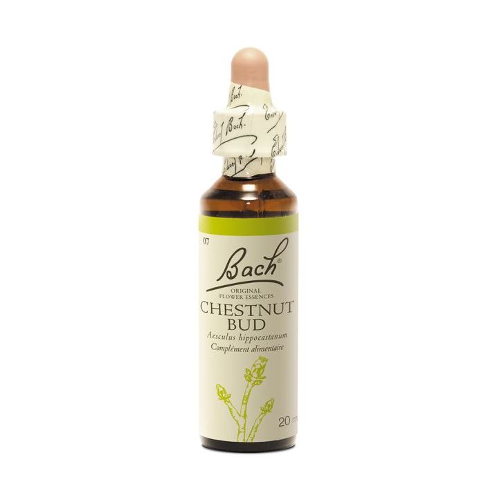 Fleur de Bach Chestnut Bud Aesculus hippocastanum - flacon de 20 ml