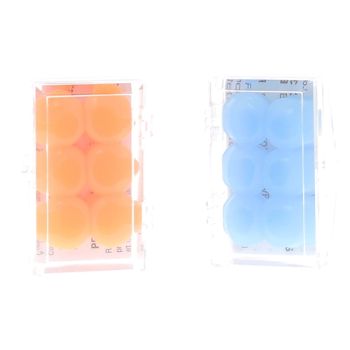 Protections auditives en silicone BodyGuard Ear - bo&icirc;te de 3 paires