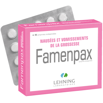 Famenpax comprim&eacute; orodispersible Lehning - boite de 40 comprim&eacute;s