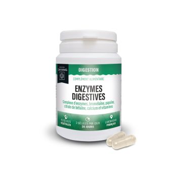 Digestion Enzymes digestives Dayang - pot de 40 g&eacute;lules