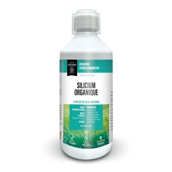 Silicium organique ossature et tissus conjonctifs Dayang - flacon de 500ml