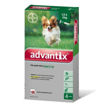 Advantix tr&egrave;s petit chien jusqu'&agrave; 4 kg Bayer - boite de 4 pipettes