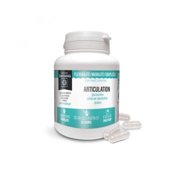 Articulation flexibilit&eacute;/mobilit&eacute;/souplesse Dayang - boite de 120 g&eacute;lules