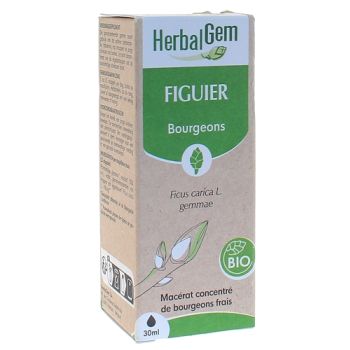 Figuier BIO Herbalgem - 30 ml