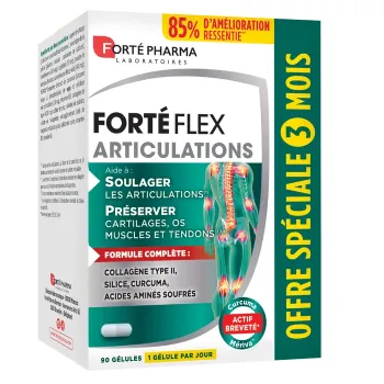 Fort&eacute; Flex articulations Fort&eacute; Pharma - boite de 90 g&eacute;lules