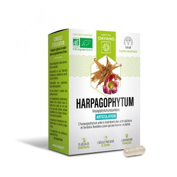 Harpagophytum Bio sph&egrave;re articulaire Dayang - bo&icirc;te de 15 g&eacute;lules