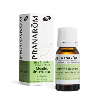 Huile essentielle Menthe des champs bio Pranar&ocirc;m - flacon de 10 ml