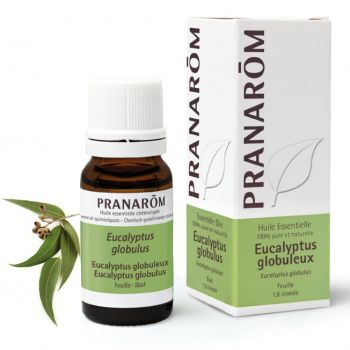Huile essentielle d'Eucalyptus globuleux Pranar&ocirc;m - flacon de 10 ml