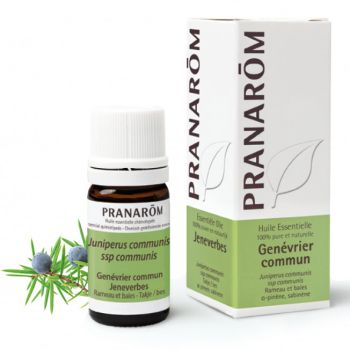 Huile essentielle de Gen&eacute;vrier commun Pranar&ocirc;m - flacon de 5 ml