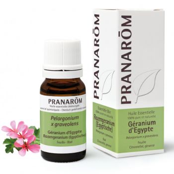 Huile essentielle de G&eacute;ranium d'Egypte Pranar&ocirc;m - flacon de 10 ml