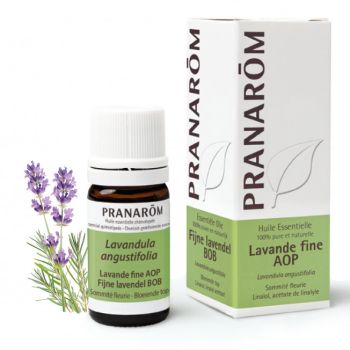 Huile essentielle de Lavande fine AOP Pranar&ocirc;m - flacon de 5 ml