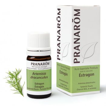 Huile esssentielle pr&eacute;dilu&eacute;e estragon (Artemisia dracunculus) Pranar&ocirc;m - flacon de 5 ml