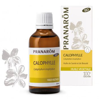 Huile v&eacute;g&eacute;tale Calophylle bio Pranar&ocirc;m - flacon de 50 ml