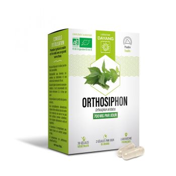 Orthosiphon bio Dayang - bo&icirc;te de 30 g&eacute;lules