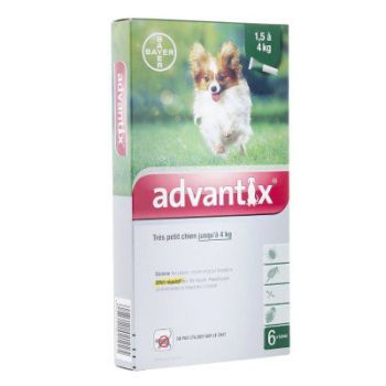 Advantix tr&egrave;s petit chien jusqu'&agrave; 4 kg Bayer - boite de 6 pipettes