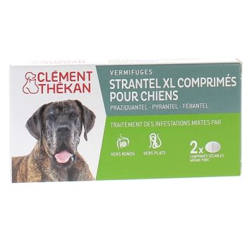 Strantel XL chiens vermifuges go&ucirc;t viande Clement Thekan - bo&icirc;te de 2 comprim&eacute;s s&eacute;cables