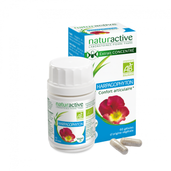 Elusanes harpagophyton Naturactive - boite de 60 g&eacute;lules