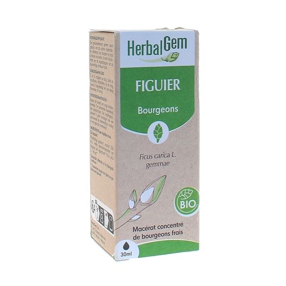 Figuier BIO Herbalgem - 30 ml