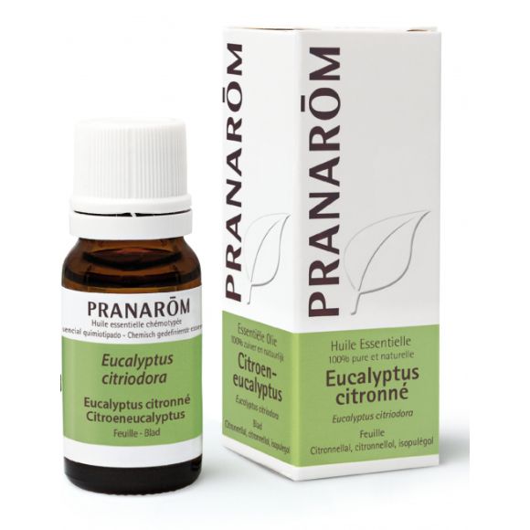 Huile essentielle d'Eucalyptus citronn&eacute; Pranar&ocirc;m - flacon de 10 ml
