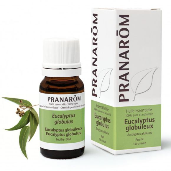 Huile essentielle d'Eucalyptus globuleux Pranar&ocirc;m - flacon de 10 ml