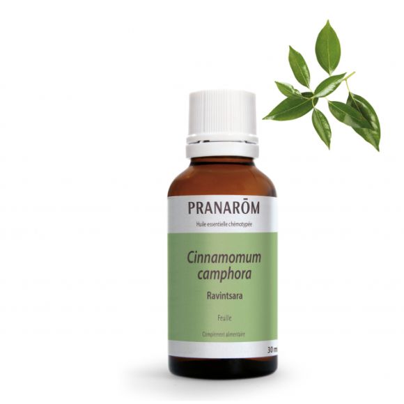 Huile essentielle de Ravintsara Bio Pranar&ocirc;m - flacon de 30 ml