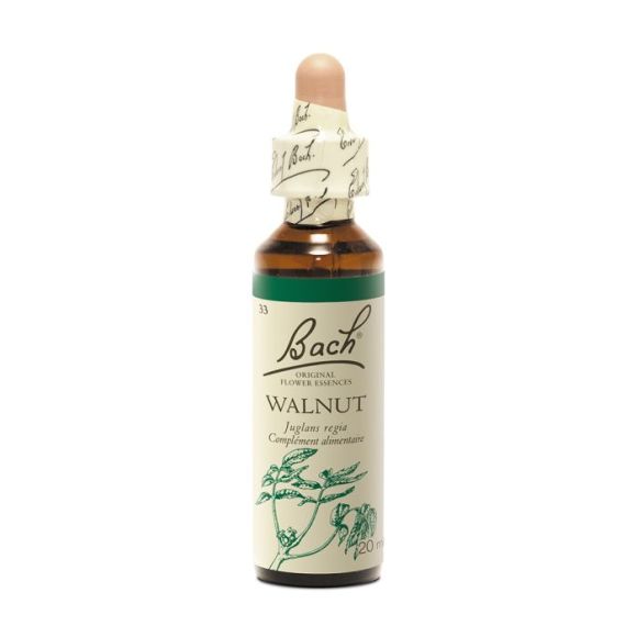 Fleur de Bach Walnut Juglans regia - flacon de 20 ml