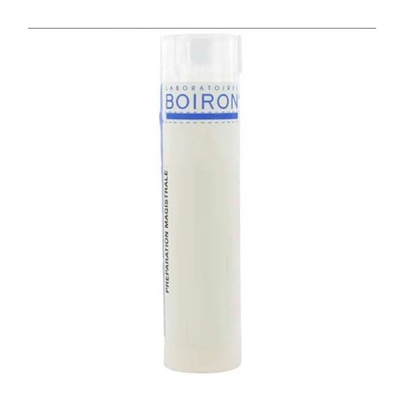 ARNICA MONTANA (korsakov) granules Boiron - tube 4 g
