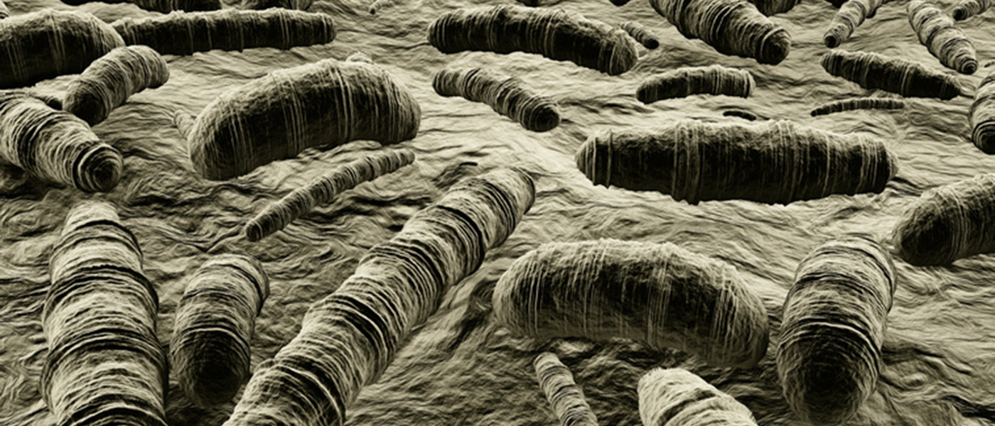 virus responsable de la diarrh&eacute;e