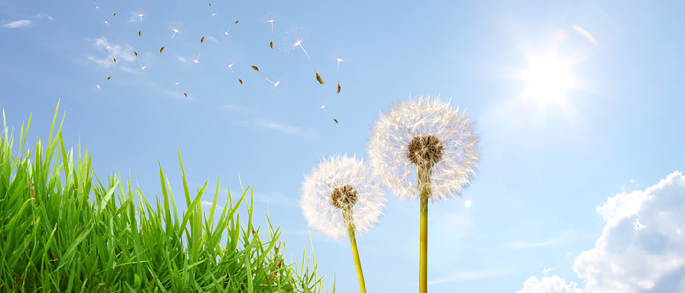 allergie saisonni&egrave;re