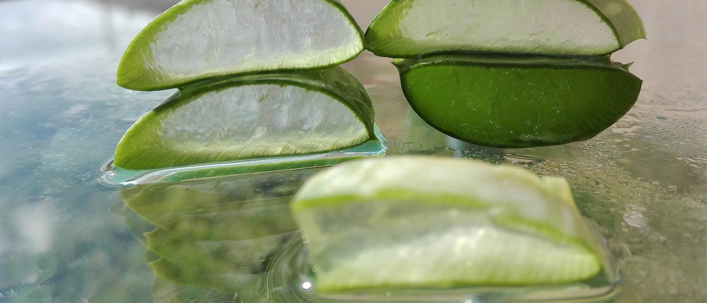 gel aloe vera gel aloe vera