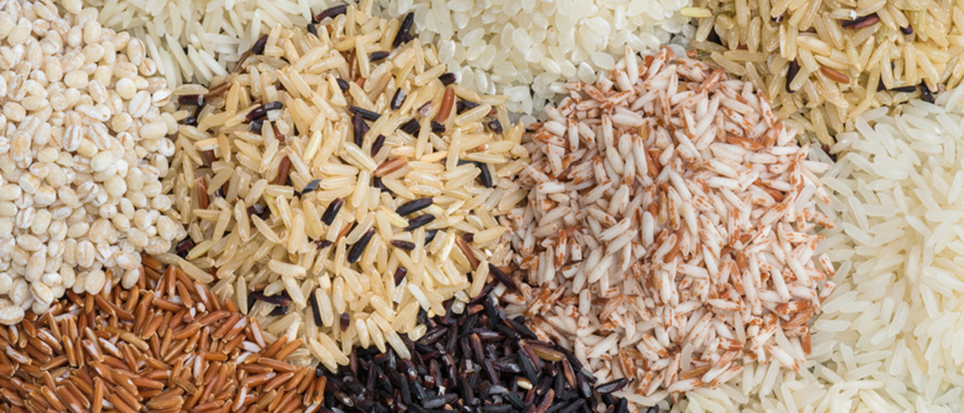 aliments riche en glucide