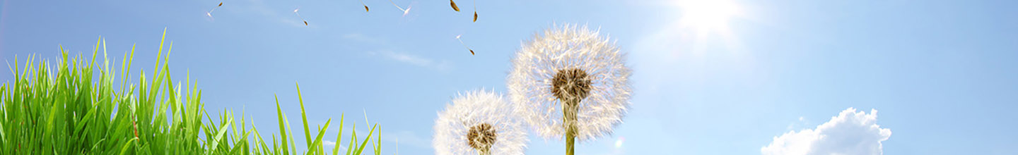 Qu'est-ce qu'un antihistaminique H2 ?