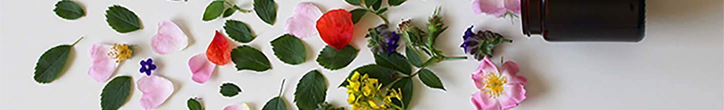 Quelles pr&eacute;cautions prendre avant d'utiliser les huiles essentielles ?