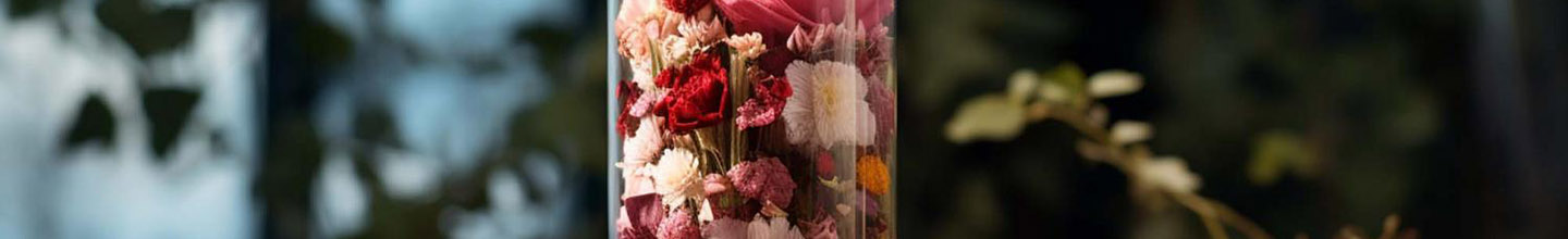 Quelle est la meilleure fleur de Bach ?