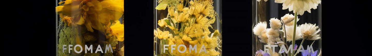 Quelle fleur de Bach contre tristesse de deuil ?