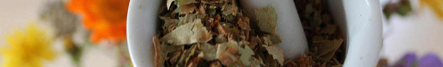 Les fleurs de bach sont elles de v&eacute;ritable traitement naturel ?