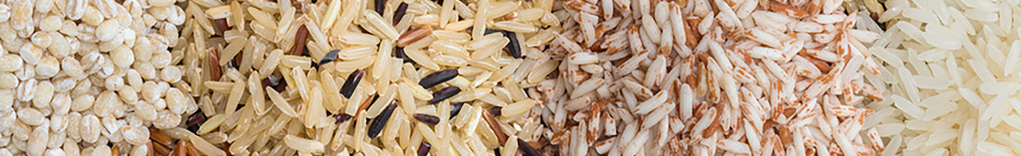 Quels sont les sympt&ocirc;mes d'une allergie au gluten ?