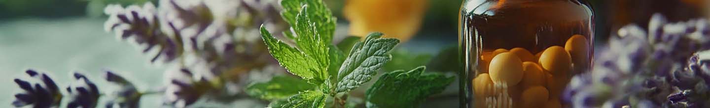 Pourquoi prendre Apis mellifica ?