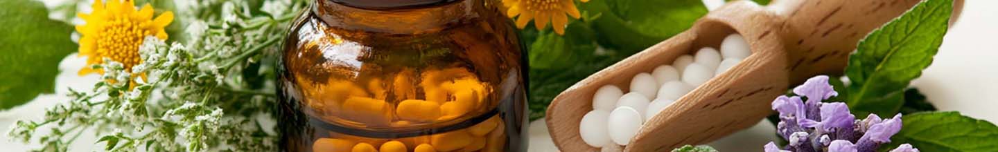 Comment prendre caladium Seguinum ?