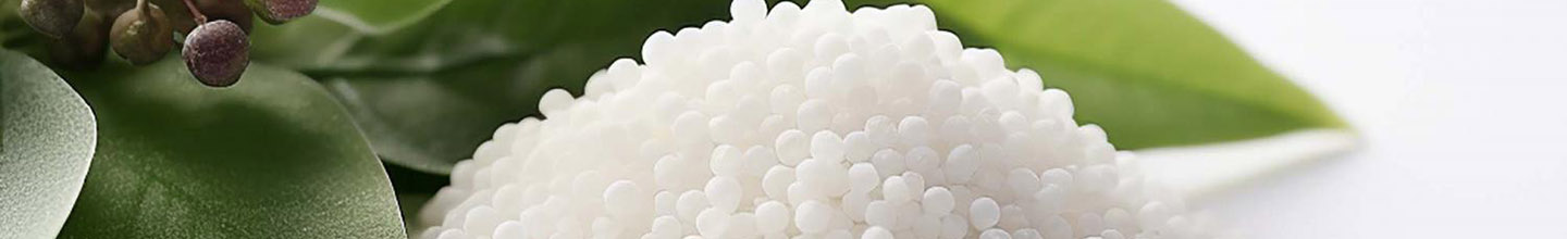 Comment choisir de l'homéopathie pour des problèmes ORL ?