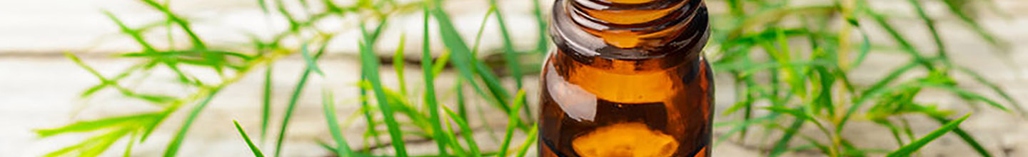 Quelles sont les diff&eacute;rentes cat&eacute;gories d'huiles essentielles ?