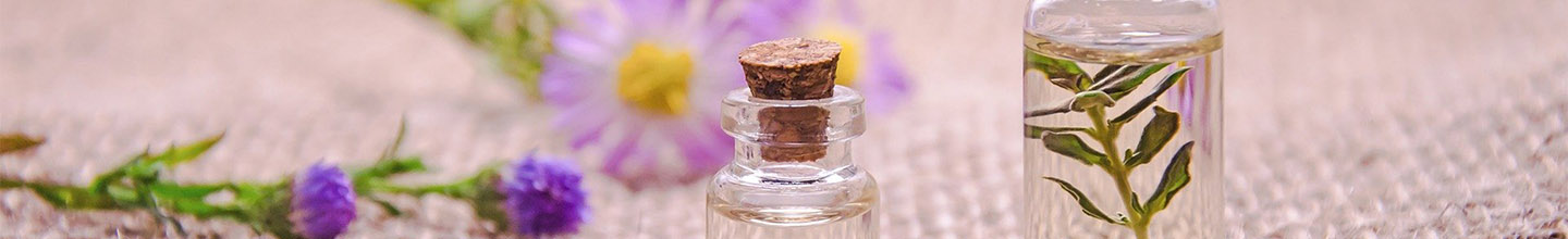 Quelles huiles essentielles pour se d&eacute;barrasser des poux ?