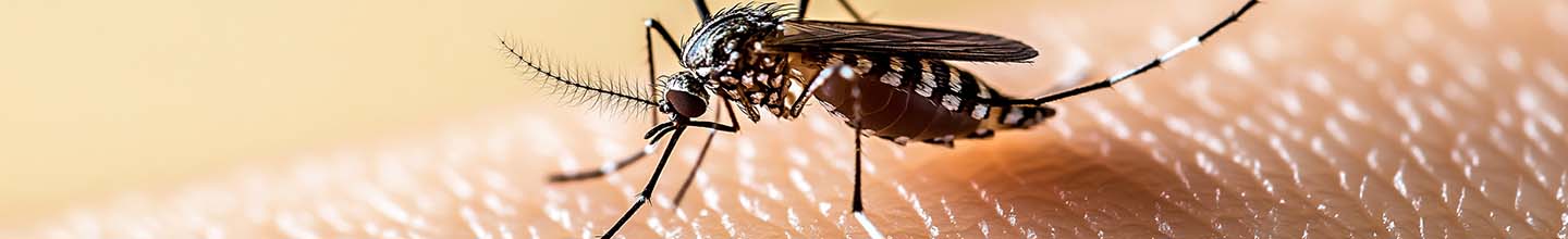 Comment recharger un bracelet Anti-moustique ?