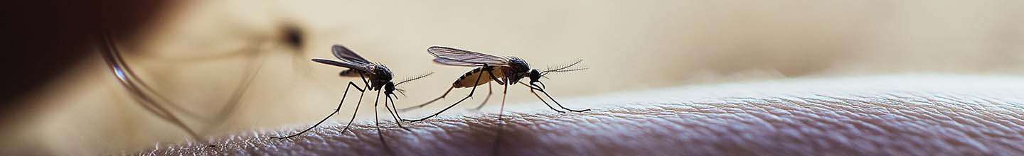 Quel crème mettre sur une piqûre ?